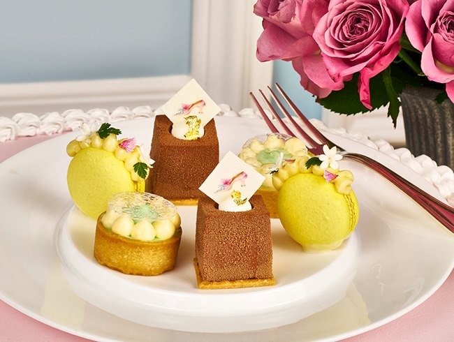 マリー・アントワネット by マノロ ブラニク アフタヌーンティー